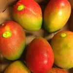 mangos